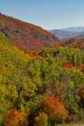 USA, Utah. Foothills east of Ogden in fall colors with Aspen and maple Art Print